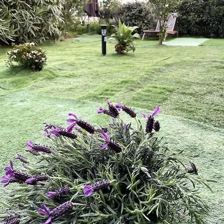 Maison A Lumio Marine De Sant Ambroggio En Balagne, Haute Corse / House Corsica Prázdninový dům *